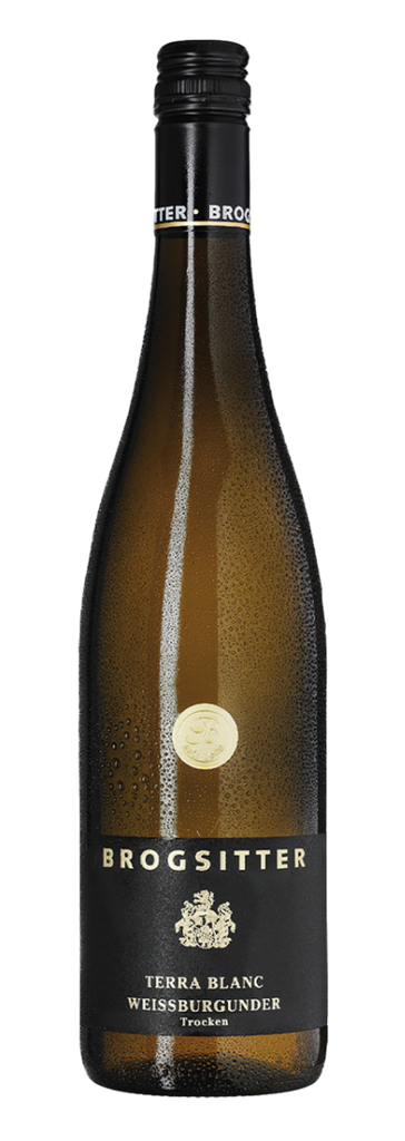 Brogsitter Weingüter, Rheinhessen Terra Blanc Weissburgunder 2023 (0,75 l)