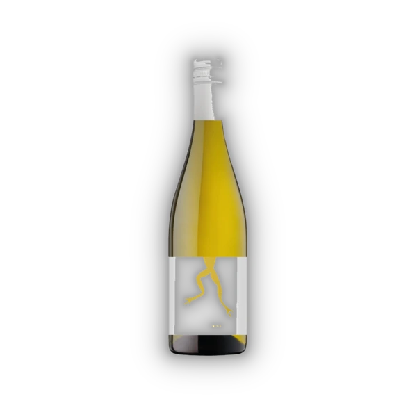 Vignerons Coöperatives Vica, VdF Coa Coa 2023 (0,75 l)