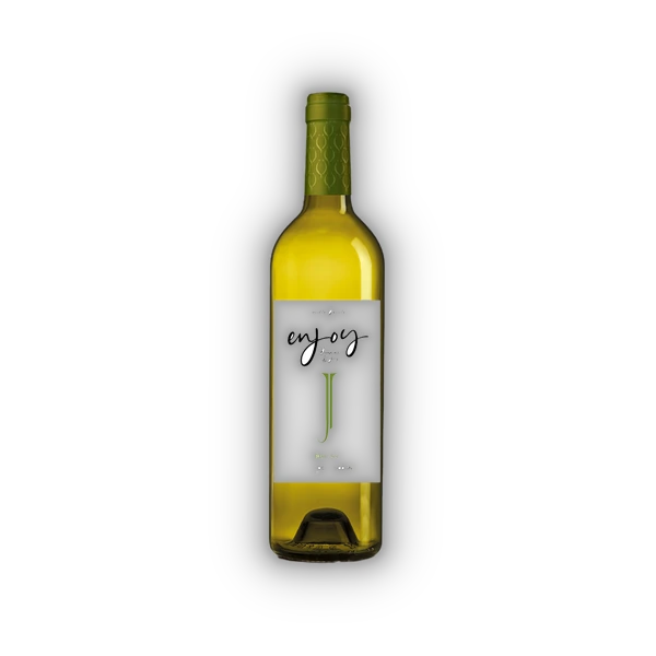 Domaine de Joy, Côtes de Gascogne IGP Enjoy Blanc 2024 (0,75 l)