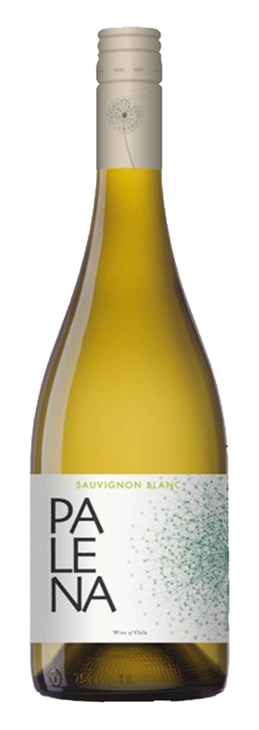 Palena, Rappel Valley Sauvignon Blanc 2023 (0,75 l)