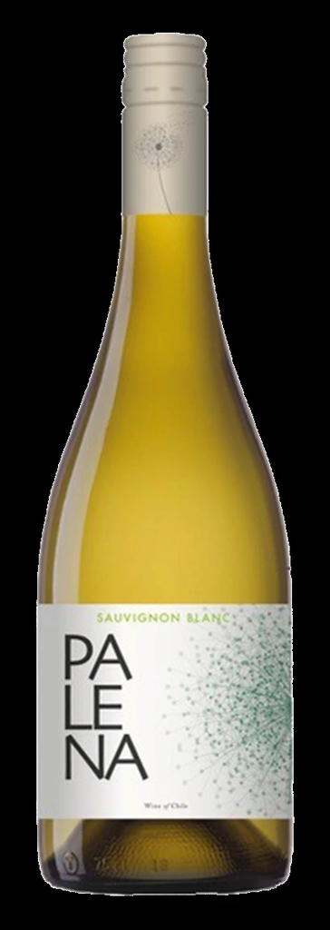 Palena, Rappel Valley Sauvignon Blanc