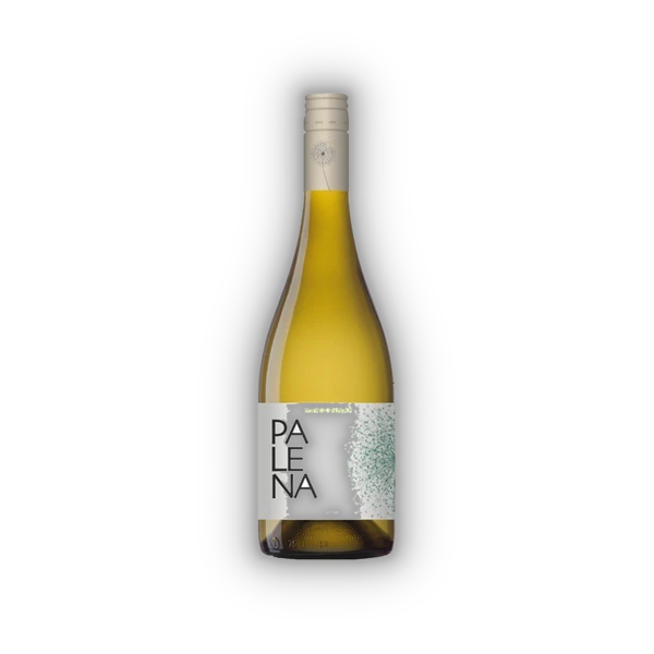 Palena, Maipo Valley Chardonnay 2024 (0,75 l)