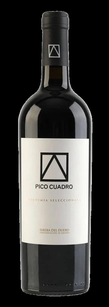 Pico Cuadro, Ribera del Duero DO Vendimia Seleccionada
