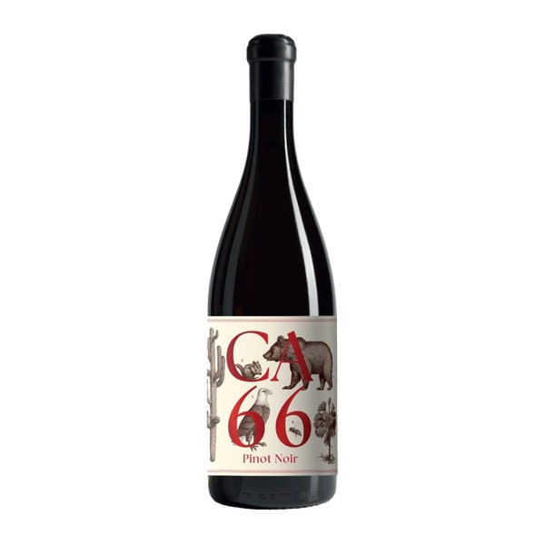 Weingut Hannes Sabathi, Südsteiermark DAC CA 66, Pinot Noir 2023 (0,75 l)