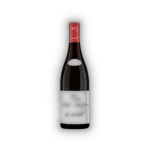 Domaine Tortochot, Gevrey Chambertin AC Les Corvées  BIO 2023 (0,75 l)