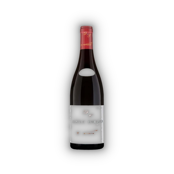Domaine Tortochot, Gevrey Chambertin AC Champerrier Vieilles Vignes  BIO 2022 (0,75 l)