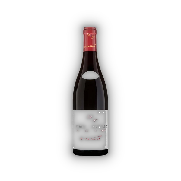 Domaine Tortochot, Gevrey Chambertin AC Lavaux St. Jacques 1ER BIO 2022 (0,75 l)