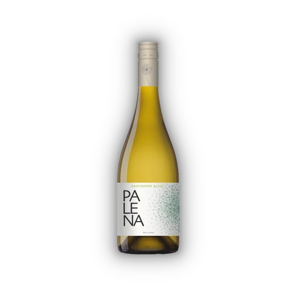 Palena, Rappel Valley Sauvignon Blanc 2025 (0,75 l)